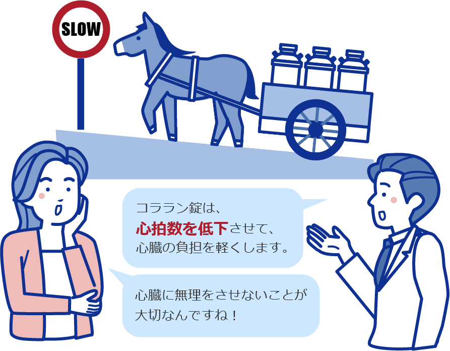 心臓に無理をさせないことが大切なんですね！コララン錠は心拍数を低下させて、心臓の負担を軽くします