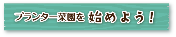 プランター菜園を始めよう！